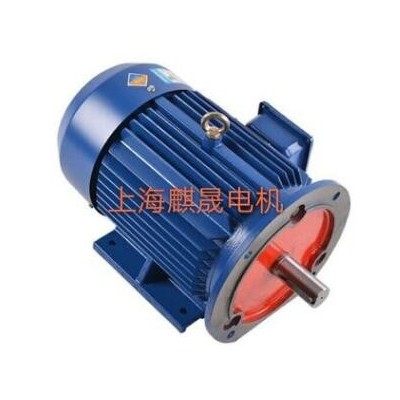 Y250M-4-55KW电机Y系列三相异步电动机参数价格图2