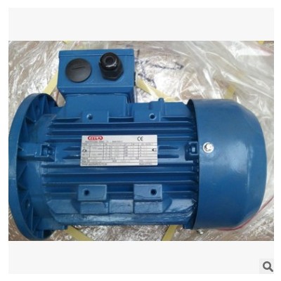 供应意大利FELM系列电机 R 90s 2-8双速0.75马达图2