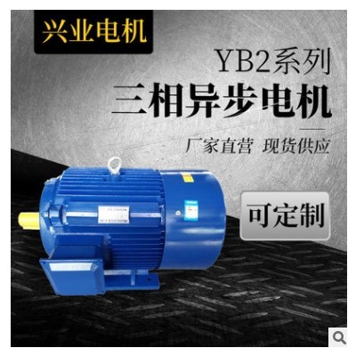 三相异步电动机批发YE系列2/4/6/8级防爆电机立式卧式电机可定制图1