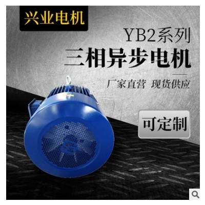 三相异步电动机批发YE系列2/4/6/8级防爆电机立式卧式电机可定制图2