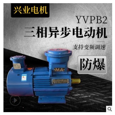 批发零售变频调速电动机防爆电机 YVPB2三相异步电动机 厂家直营图3