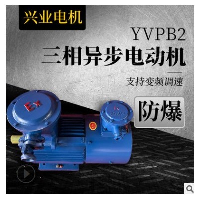 批发零售变频调速电动机防爆电机 YVPB2三相异步电动机 厂家直营图2
