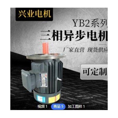 现货销售高效交流微型YE2-60M2-2三相异步电动机厂家批发图3
