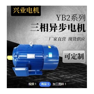 厂家销售 双出轴三相异步电动机YE2-132S1-2机械设备电动机图2
