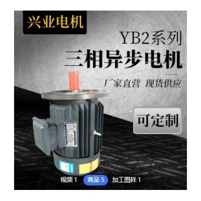 厂家销售 双出轴三相异步电动机YE2-132S1-2机械设备电动机图3