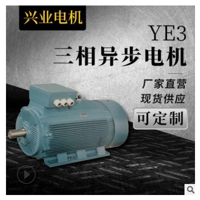 三相异步软启动电机YE3-160L-6三相高压直流电机矿山机械电动机图3