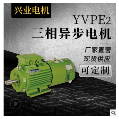 厂家批发三相异步电机YVPE2高速机械设备电动机立卧式直流电机图3