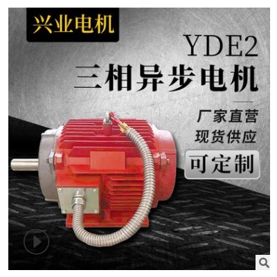 厂家供应 节能交流三相异步电机YDE2 YEJ现货供应 支持定制图2