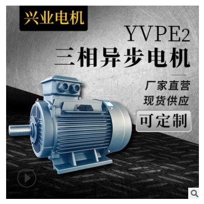 现货供应YVPE2三相异步电动机变速立卧式铜芯电机支持定制图3
