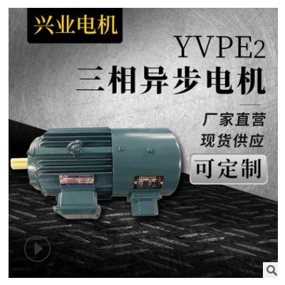 现货供应YVPE2三相异步电动机变速立卧式铜芯电机支持定制图2