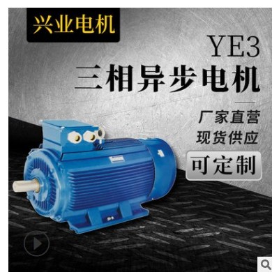 YE3系列卧式三相异步电动机YDT YEJ中速电动机 轻工机械电机图2