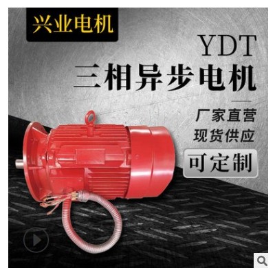 厂家现货供应飞马变频调速电动机YDT 机械设备行业用电机型号齐全图2