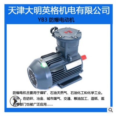 防爆电机 YB3 2级 厂家直销电动机 防爆型 YB3-315S-2-110KW图2