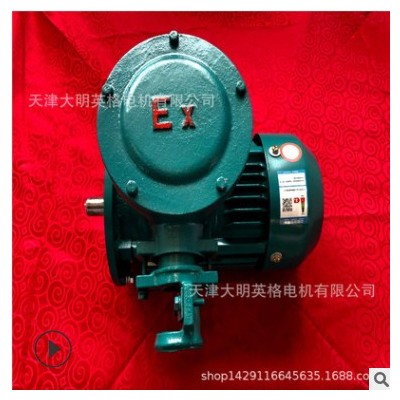 防爆电机 YB3 2级 厂家直销电动机 防爆型 YB3-112M-2-4KW