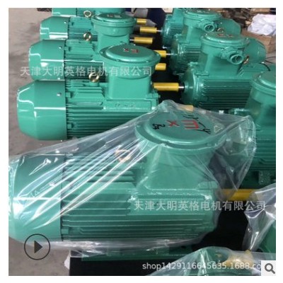 防爆电机 YB3 2级 厂家直销电动机 防爆型 YB3-180M-2-22KW