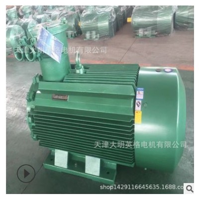 防爆电机 YB3 2级 厂家直销电动机 防爆型 YB3-315M-2-132KW