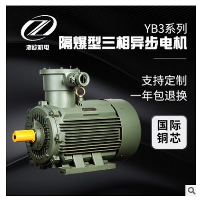 三相异步隔爆电机YB3系列0.75-250KW6级防爆电机BT4国标铜线电机图3