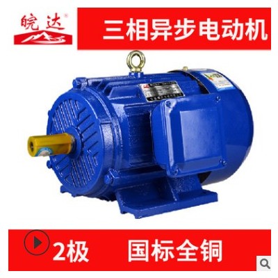 安徽厂家直销电机 YE3高效380V纯铜三项异步电动机30KW-315KW2极图3