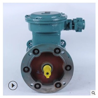 YBX3-160M2- 2 15KW 隔爆型三相异步电动机 YB2 矿用电动机 YBBP图2