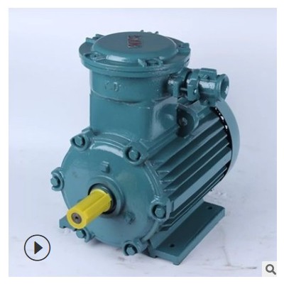 YBX3-200L- 4 30KW 防爆型三相异步电动机 YB2 粉尘防爆电动机图2