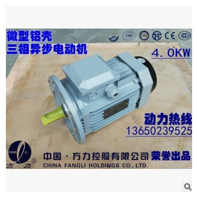 三相异步380V电动机铜线铝壳MS/YE2 132M1-6极4KW马达一年质保图3