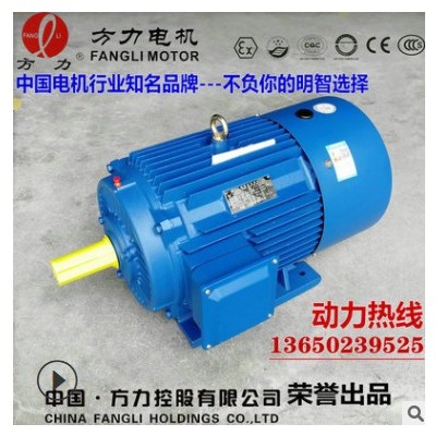 质保一年 YE2/Y2三相异步电动机 380V电机 Y280M-2极90KW工业马达图3