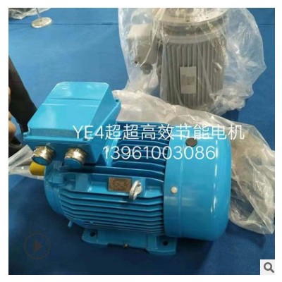 供应YE4超超高效三相异步电动机380v6极节能电机 厂家直供