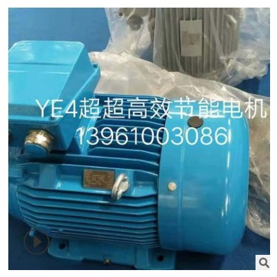 供应YE4超超高效三相异步电动机380v6极节能电机 厂家直供图3