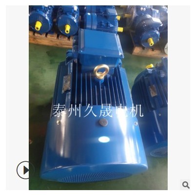 供应YE4超超高效三相异步电动机380v6极节能电机 厂家直供图2
