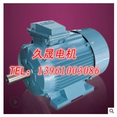 长期供应 电机M2BAX系列普通电机 大功率铸铁电机 可定制图2