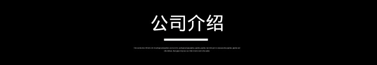 公司介绍1.JPG
