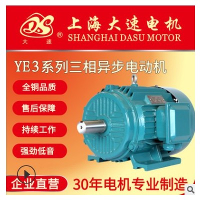 大速电机直销YE3电动机低噪音三相异步电动机 工业电机可定制图3
