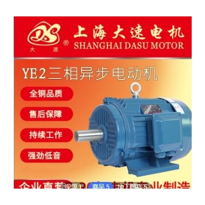 大速电机供应YE2系列三相异步电动机低噪音电机机械设备支持定制图3