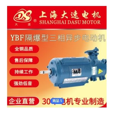 上海大速YBF系列隔爆型三相异步电动机立式全铜电机机械设备用图2