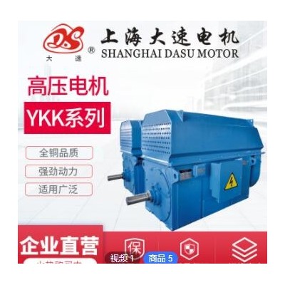 上海大速直销防爆型YKK高压三相异步电动机机械设备用高压电机图3