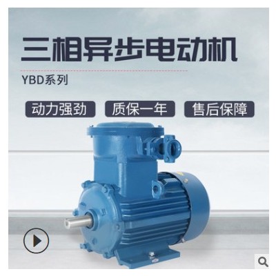 上海大速供应YBD隔爆型三相异步电动机机械石油化工专用变速电机图3