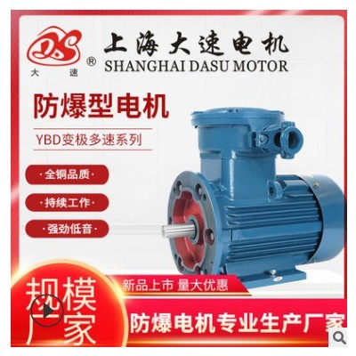 上海大速供应YBD隔爆型三相异步电动机机械石油化工专用变速电机图2
