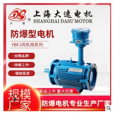 上海大速供应YBFJ系列三相异步电机卧立式全铜电动机隔爆型电动机图3