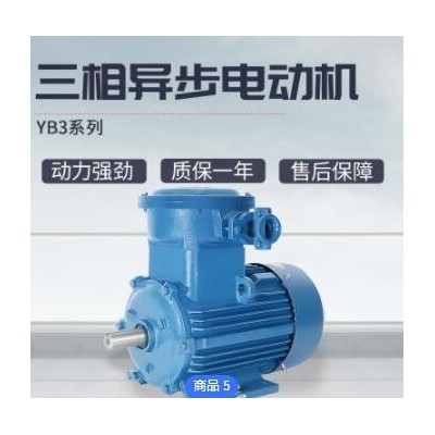 大速YB3隔爆型电动机卧立式4极低噪音化工粉尘防爆三相异步电动机图2