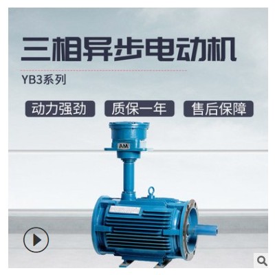 大速YB3隔爆型电动机卧立式4极低噪音化工粉尘防爆三相异步电动机图3