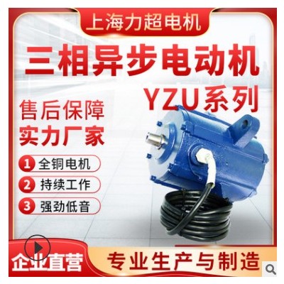 直销YZU系列三相异步电动机全铜线圈低噪音加工机床专用电机图2