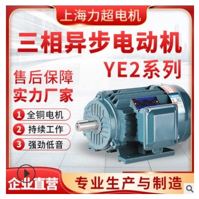 工厂直销YE2-90电机极卧式三相异步电动机全铜芯国标电动机图2