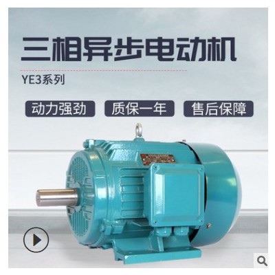 上海力超供应变频调速YE3电动机全铜低噪音三相异步电机减速机用