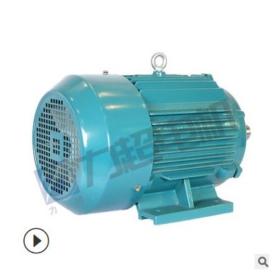 上海力超供应变频调速YE3电动机全铜低噪音三相异步电机减速机用图2