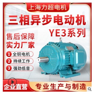 上海力超供应变频调速YE3电动机全铜低噪音三相异步电机减速机用图3