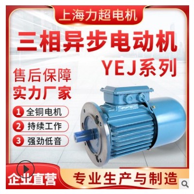 直销铜芯YEJ系列三相异步电动机耐磨电磁制动减速机专用电机图3