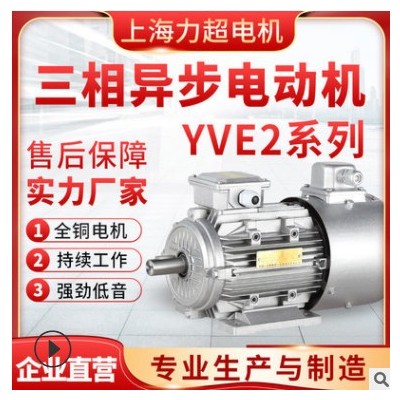 上海力超供应全铜芯YVF2三相异步电动机化工水泵机械专用电力机图2