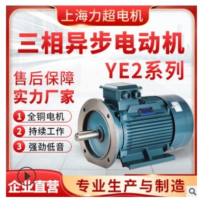 力超电机直销YE2-160电动机B35立卧式铜芯三项异步电机减速机电机图3