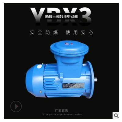 浙江仙龙电机科 YBX3技粉尘防爆电机BT4等级4极隔爆马达全铜电机图3