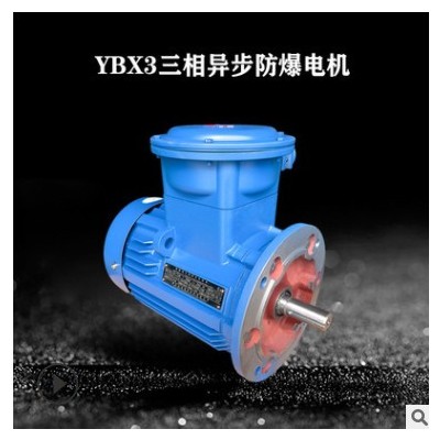 浙江仙龙电机科 YBX3技粉尘防爆电机BT4等级4极隔爆马达全铜电机图2